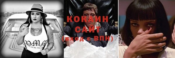 хмурый Козловка
