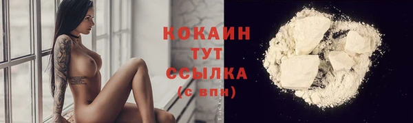 хмурый Козловка