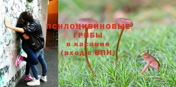 крисы Кодинск