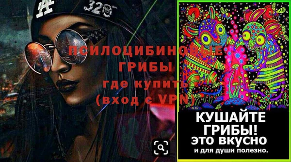 крисы Кодинск