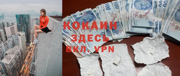 хмурый Козловка