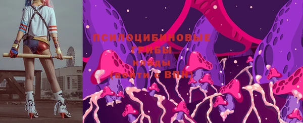хмурый Козловка