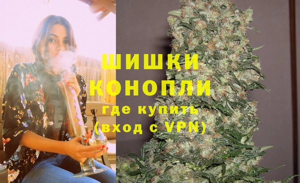 крисы Кодинск