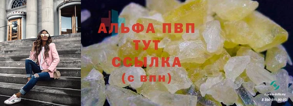 крисы Кодинск