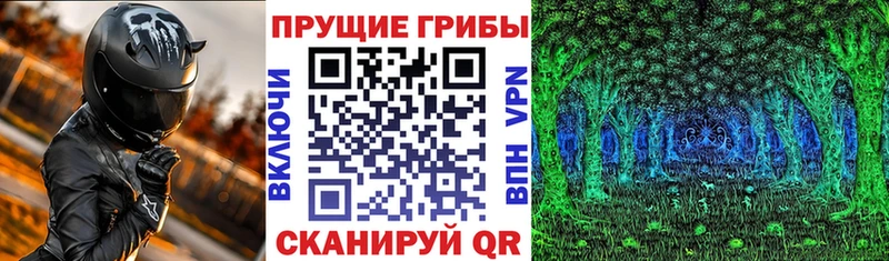 Псилоцибиновые грибы мицелий Мелеуз